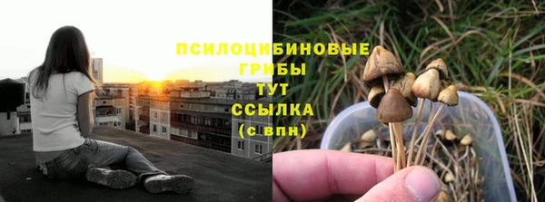 гашишное масло Заводоуковск