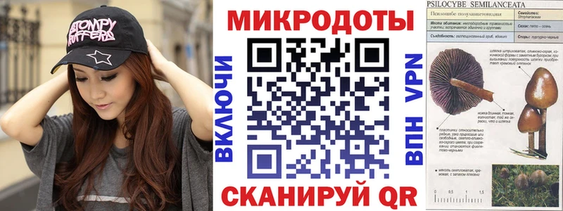 Галлюциногенные грибы прущие грибы  Искитим 