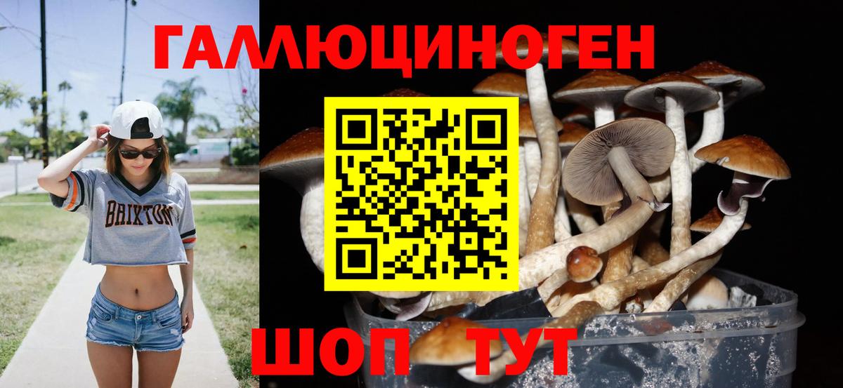 Псилоцибиновые грибы Cubensis Искитим